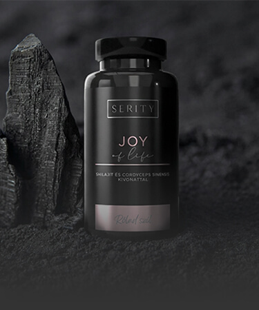 JOY OF LIFE