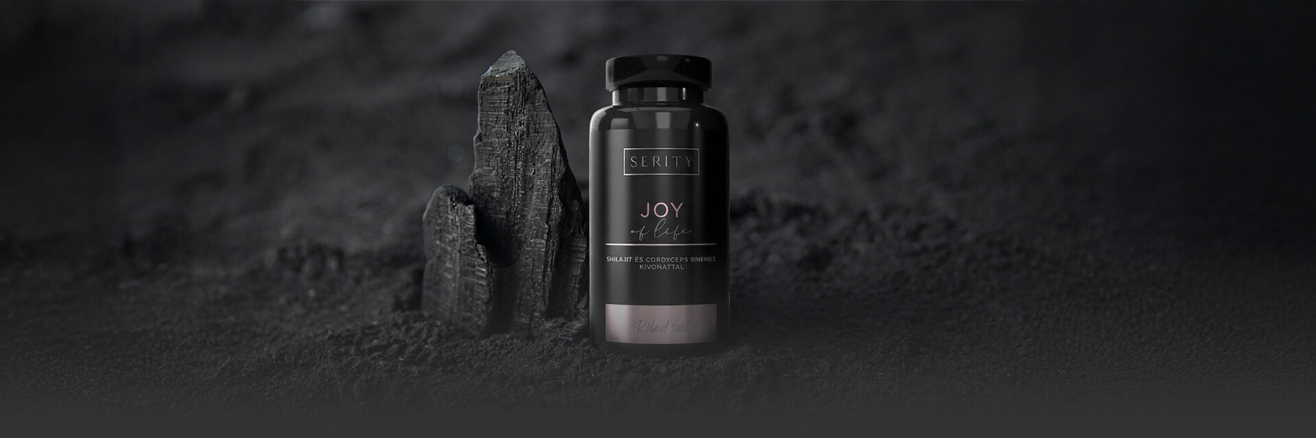 JOY OF LIFE